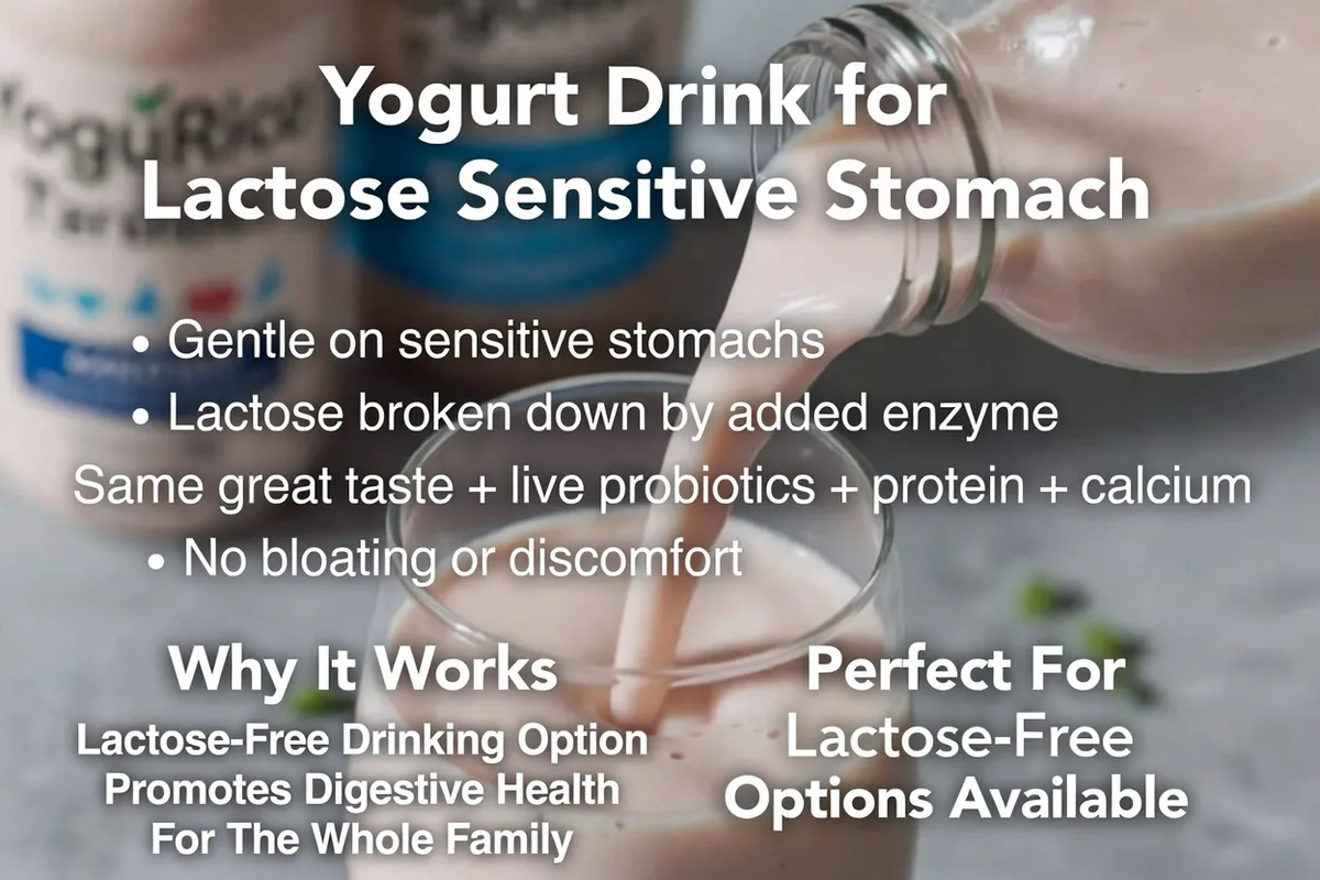 Yogurt Drink for Lactose Sensitive Stomach